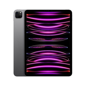APPLE IPAD PRO 11 POUCES