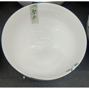 LOT DE 6 ASSIETTES CASSABLES EN CERAMIQUE